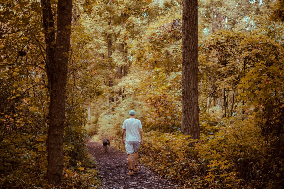 A Balanced Approach To Wellness: Myths and Facts